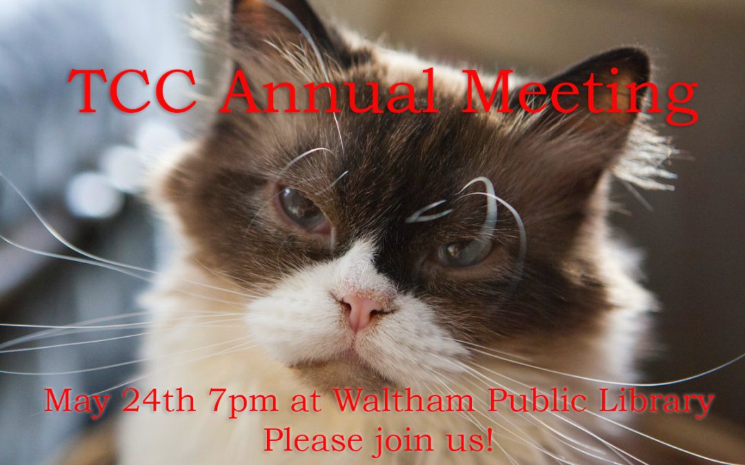 The Cat Connection Annual Meeting