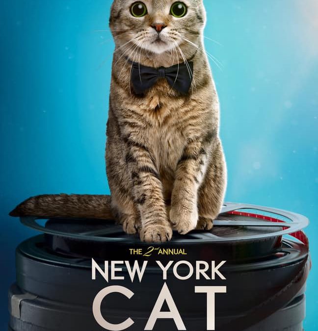NY Cat Film Festival