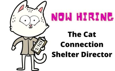 Now Hiring for Shelter Director Position