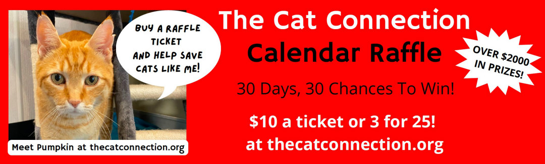 Buy your 2022 TCC Calendar Raffle tickets here! Win great prizes and save cats!