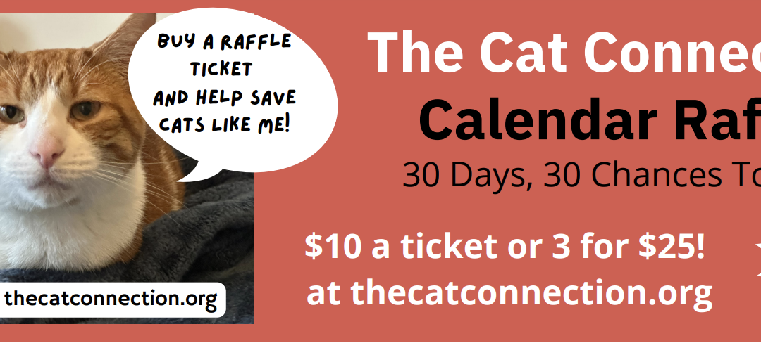 Buy your 2023 TCC Calendar Raffle tickets here! Win great prizes and save cats!