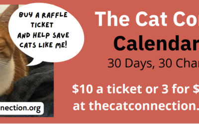 Buy your 2023 TCC Calendar Raffle tickets here! Win great prizes and save cats!